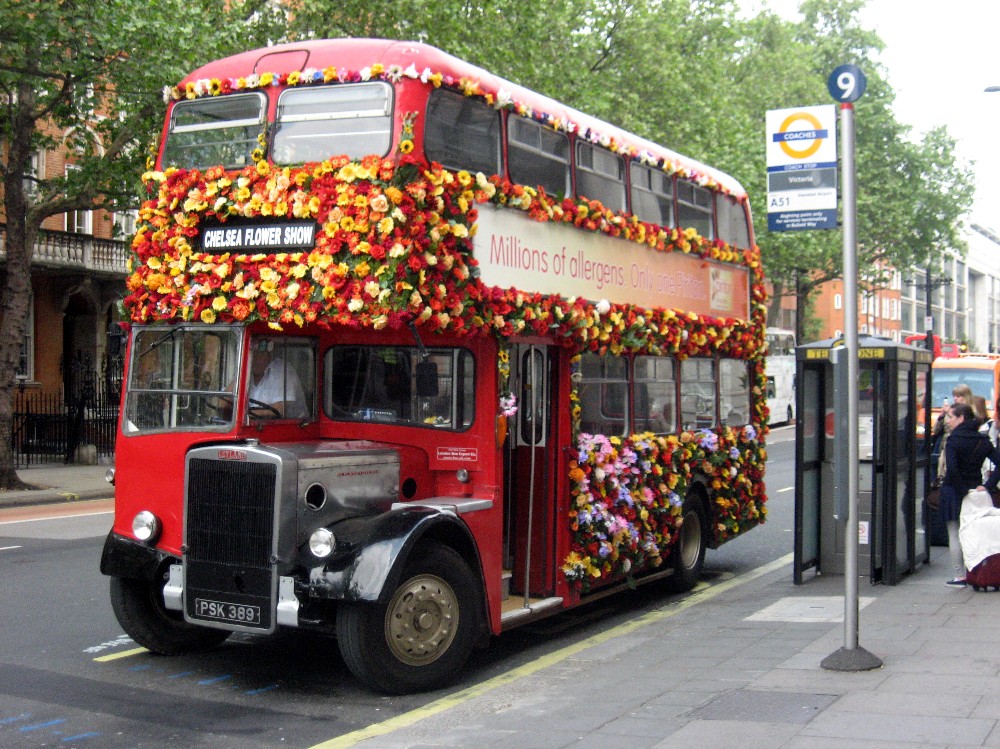 Old Routemaster double decker in Chelsea Flower show livery! Chelsea